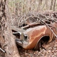 Illustration for article titled cars in the aussie bush